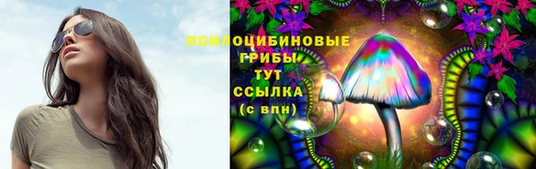 ешки Михайловка