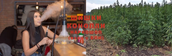 ECSTASY Михайлов