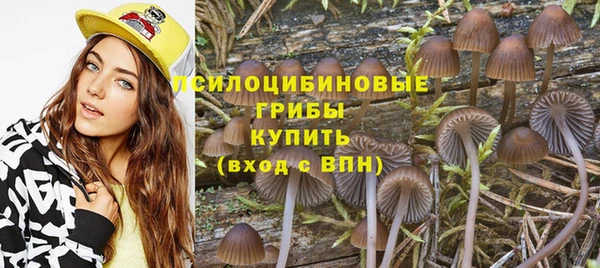 PSILOCYBIN Щёлкино
