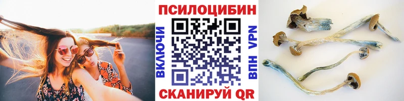 Псилоцибиновые грибы мухоморы  наркотики  Юрюзань 